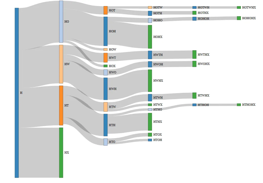 Sankey diagram of activity chains, branching from home through work, trips and other activities into the most common daily sequences.